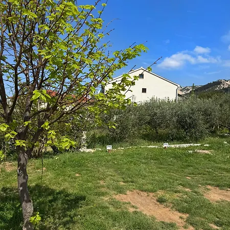 Morska Prica ラブ