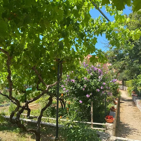 Morska Prica Апартаменты