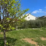 Morska Prica ראב
